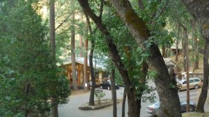 Yosemite Bug Rustic Mountain Resort Front