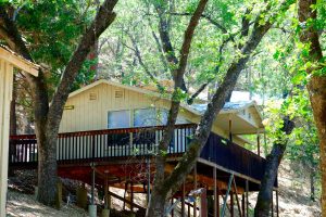Yosemite Bug Accommodations