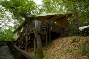 June Bug Cafe