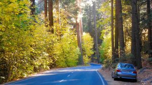 Yosemite Bug Transportation